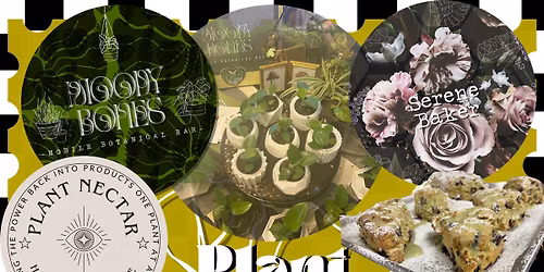 Plant Based Bazzar \ud83c\udf08\ud83e\udd68\ud83e\udeb4\ud83c\udfa8\ud83e\udd50