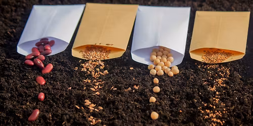 Medford Seed Library, 18+ YRS (Medford Library)