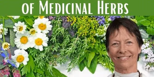 Learn to use Nature's Gifts of Medicinal Herbs 