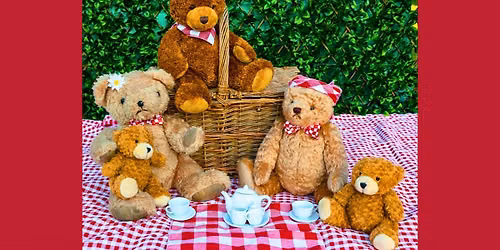 A Fun and Free Teddy Bears' Picnic For All!