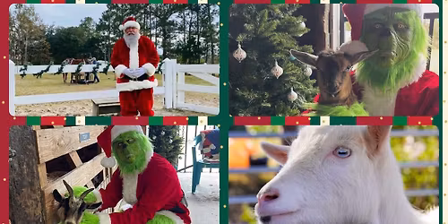 Christmas On The Farm \ud83c\udf85 \ud83c\udf84 \ud83d\udc37