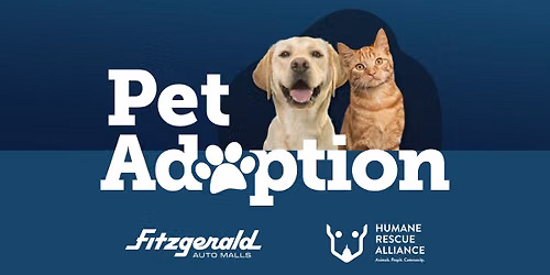 Pet Adoption 