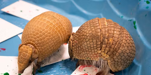 Holiday Crafting With Creatures