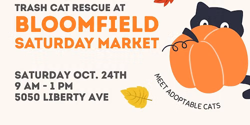 Trash Cat Rescue at the Bloomfield Saturday Market