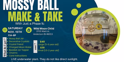 Mossy Ball Make n Take with Just A Phase LLC
