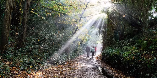 Mindfulness Walk