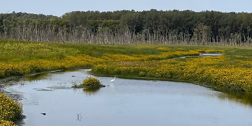 Intro to Hiking: Lousiville Swamp 