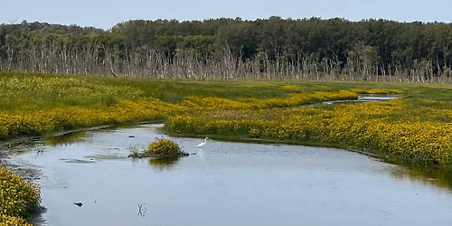 Intro to Hiking: Lousiville Swamp 