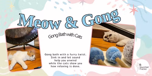 Meow and Gong - Gong Bath Sound Healing with Cats