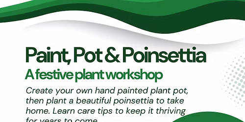 Paint, Pot and Poinsettia