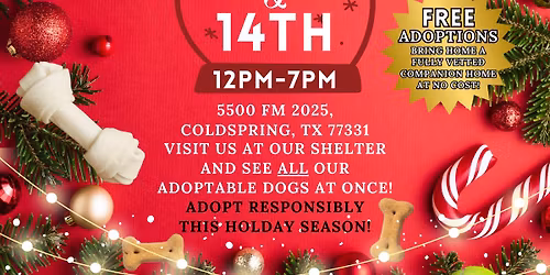 Home for the Holidays  Adoption Event 