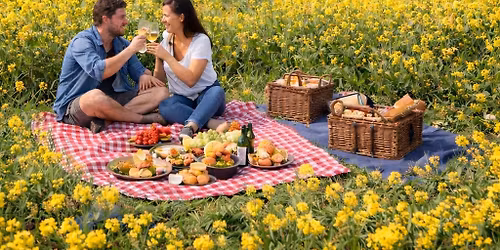 Picknick in het koolzaadveld