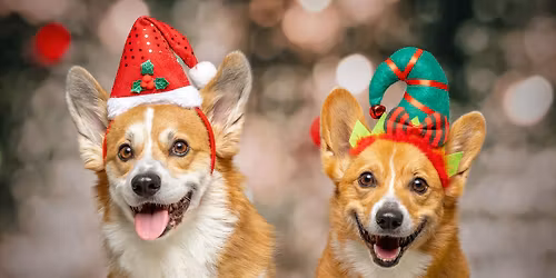 Holiday Photo Mini-Session Fundraiser