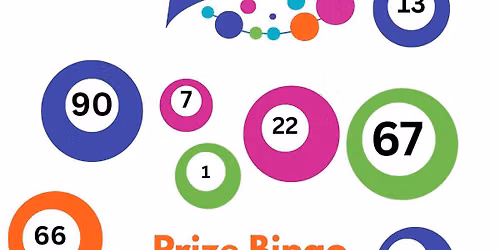Trispen FunDay Prize Bingo Fundraiser