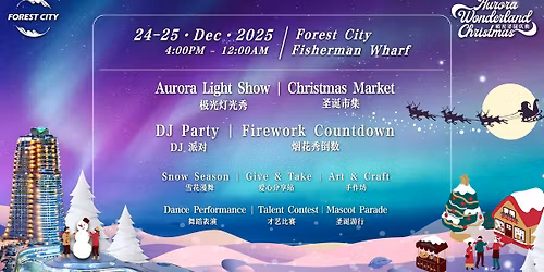 Forest City Aurora Wonderland Christmas