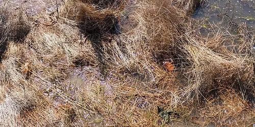 Homeschool Skillbuilder: Aquatic Studies