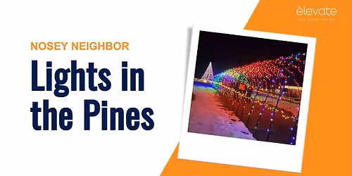 Nosey Neighbor: Lights in the Pines
