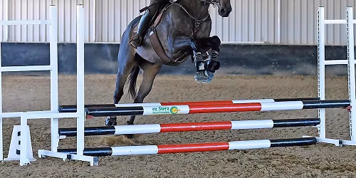 2026 PCQ Masters Championships - Hosted by Burpengary Pony Club