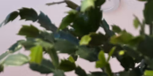 Get Sh*t Done at Kaizen: No Procrastination Day