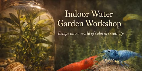 Indoor Water Garden Workshop