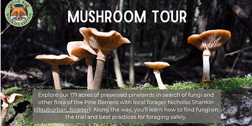 Mushroom Tours