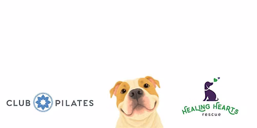 Puppies, Pints, and Pilates at The Howe