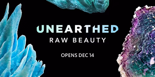 Unearthed: Raw Beauty | Member Preview Day