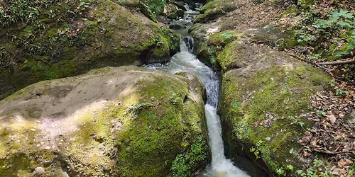 Visegr\u00e1di Piros\u00fat a T\u00e1volban\u00e9z\u0151ssel