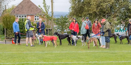 Monthly Hound Walk