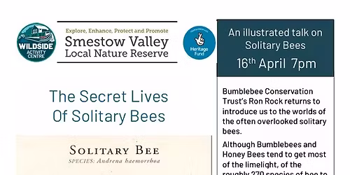 The Secret Lives of Solitary Bees