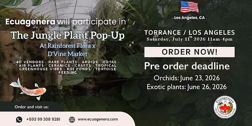 Ecuagenera will participate in The Jungle Plant Pop-up by D'Vine Market