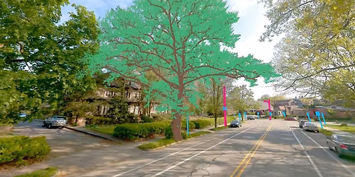 Advancing Urban Forest Management Through Technology