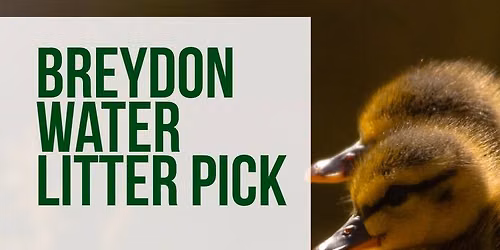 Breydon water litter pick