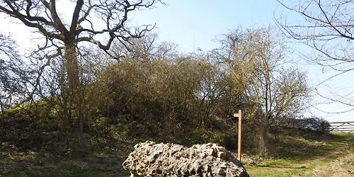 Director\u2019s Walk & Talk: Caistor Roman Town