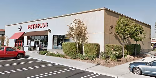 Escondido - Dog dental cleaning