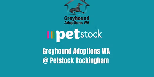 Petstock Rockingham