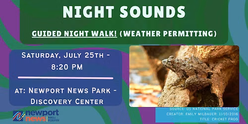 Night Sounds