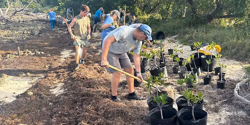Ocean Forest Restoration Phase 1