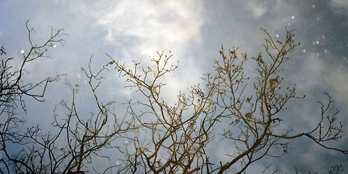 Launch: Fractured Landscapes and How We Heal