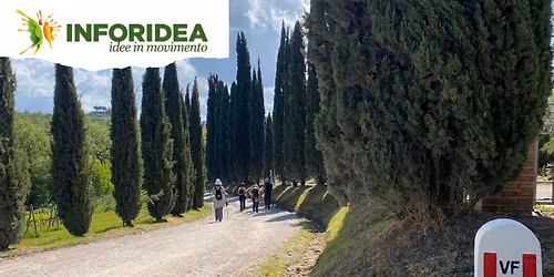 La Via Francigena: da Siena a Acquapendente\ud83c\udf92