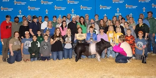 The Chosen ELITE Showpig Opportunity