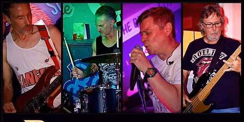 Swan & Hedgehog - ROQUE!