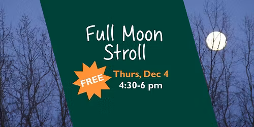 Full Moon Stroll
