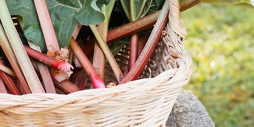 Vegetable Gardening (Advanced Course)