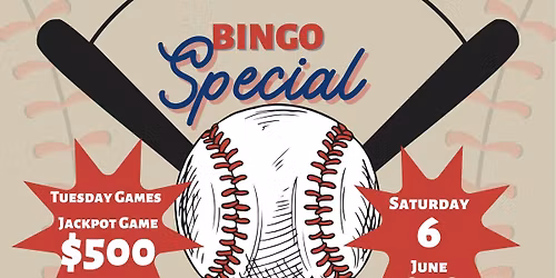 HOME RUN BINGO SPECIAL
