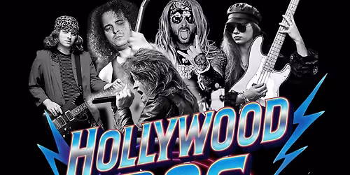 Hollywood Dog - Lexington, KY