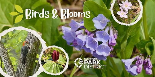 Birds and Blooms Hike at Kelley Nature Preserve