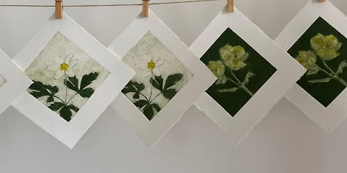 Introduction to Collagraph Printing