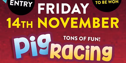 Pig Racing with Ady Bing