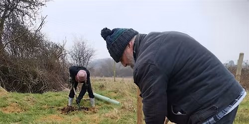 Plant Trees At Bridie's Farm